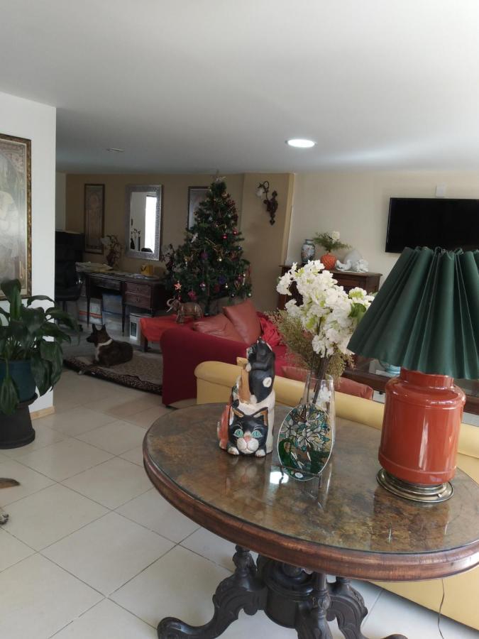 Charming Sunny Bedroom Overlooking Beautiful Amsterdam Avenue In Best Condesa Area Mexico City Luaran gambar
